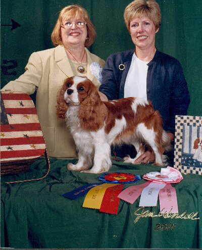 Charlottetown Aurora of Little